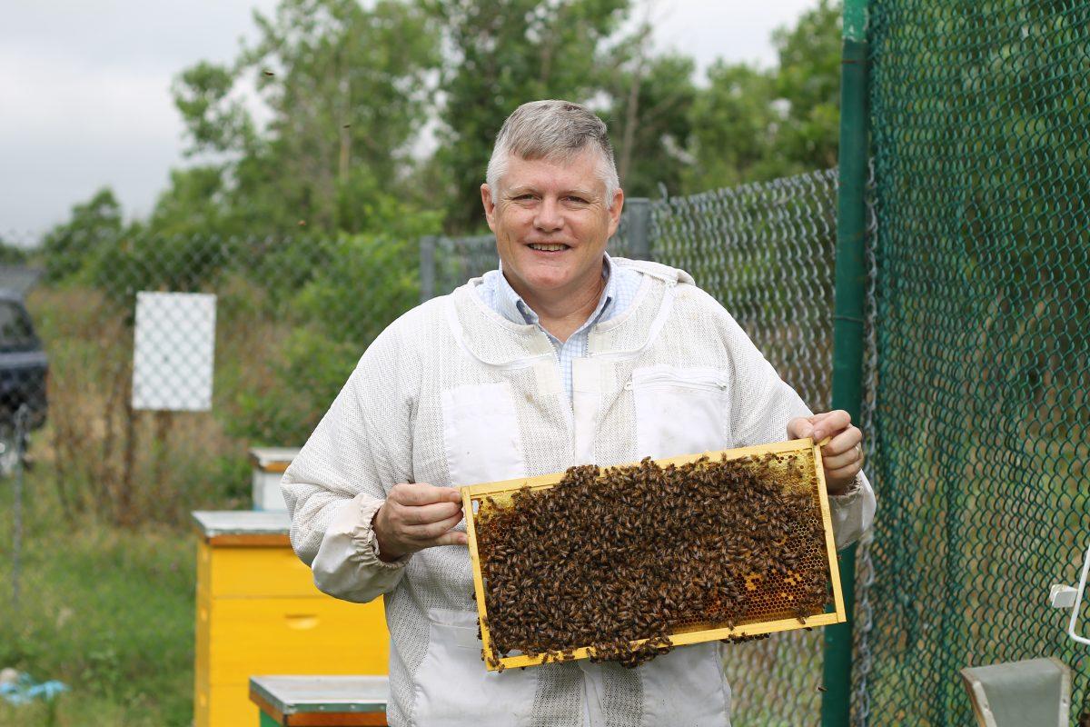 The latest buzz