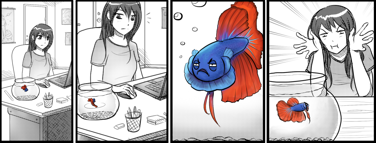 Betta Break