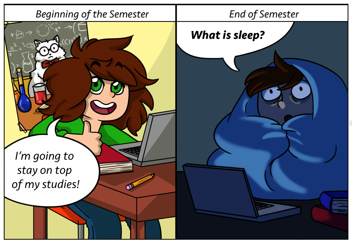 Beginning vs. End