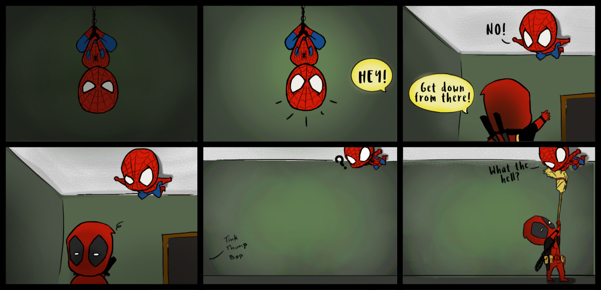 House Spider