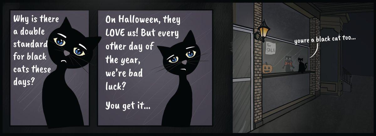 Black cat