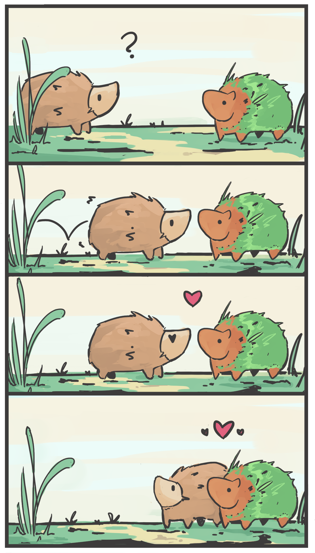Hedgehog love