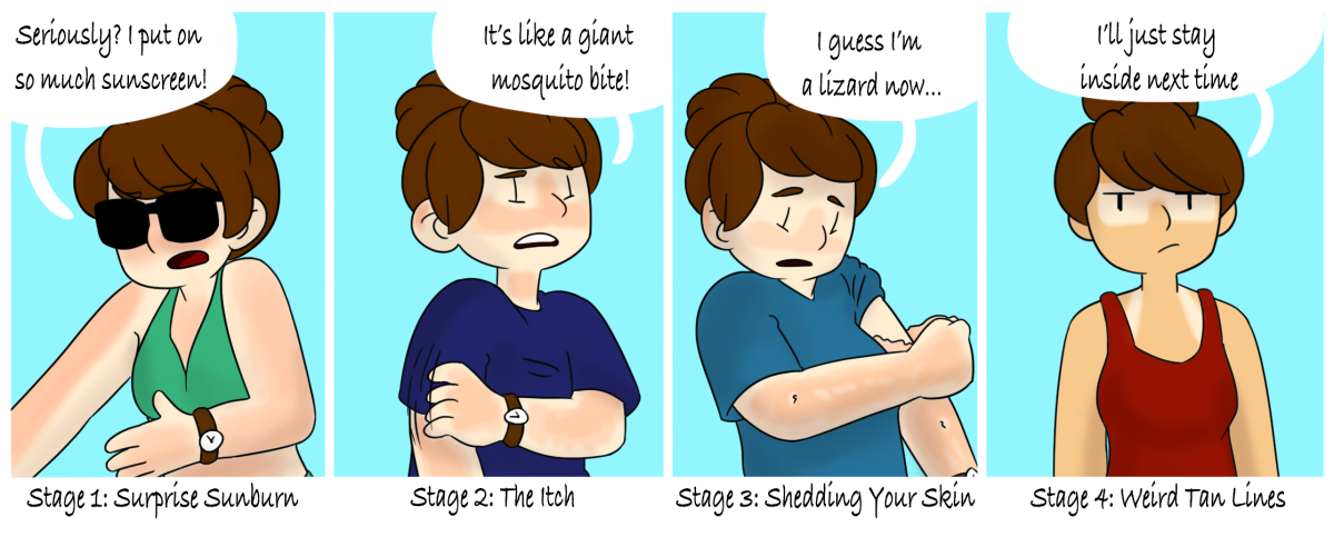 Evolution of a sunburn