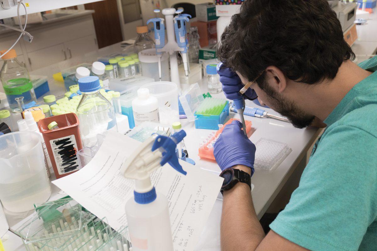 Salim Megat, a postdoctoral fellow in the Pain Neurobiology Research Group headed by Theodore Price, performs research on proteins that have potential as blockage mechanisms for pain pathways. Photo by Anupam Gupta | Mercury Staff.