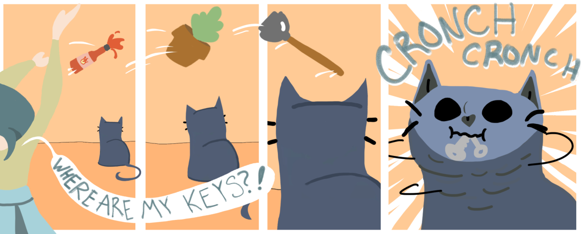 Lost keys