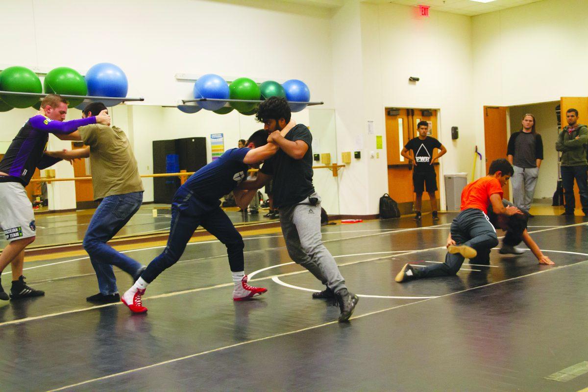 The wrestling club plans to reclaim club sport status after it was revoked in 2015. The group holds practices in the Rec Center's green room. Photo by Soujanya Bhat | Mercury Staff.