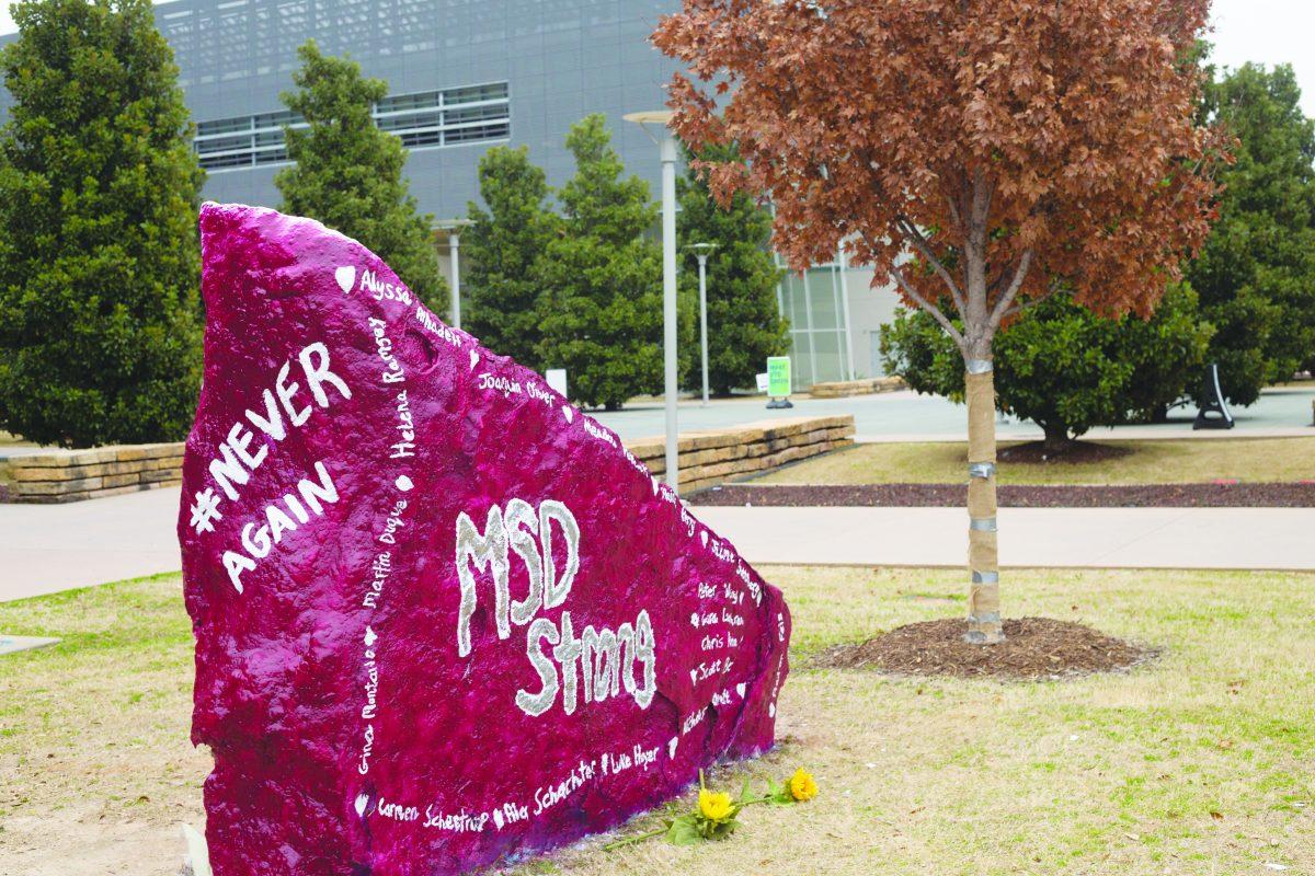 Political science freshman Katie Silverman painted the Spirit Rocks on the anniversary of the shooting at Marjory Stoneman Douglas High School in Parkland, Florida. Photo by Soujanya Bhat | Mercury Staff.