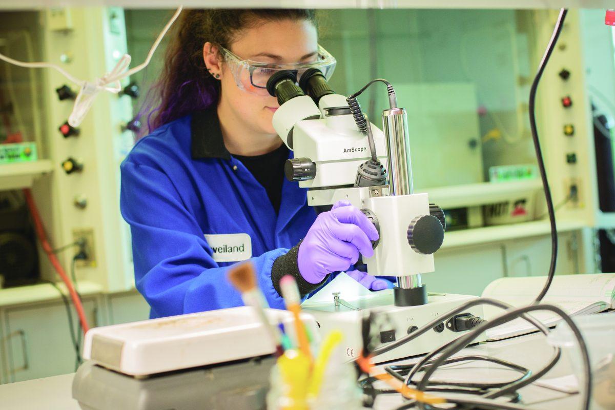 Ashley Weiland, a third year chemistry Ph.D student, uses a microscope to inspect crystals at Julia Chan’s Solid State Chemistry Lab, where researchers study quantum materials and actinides. Courtesy Photo
