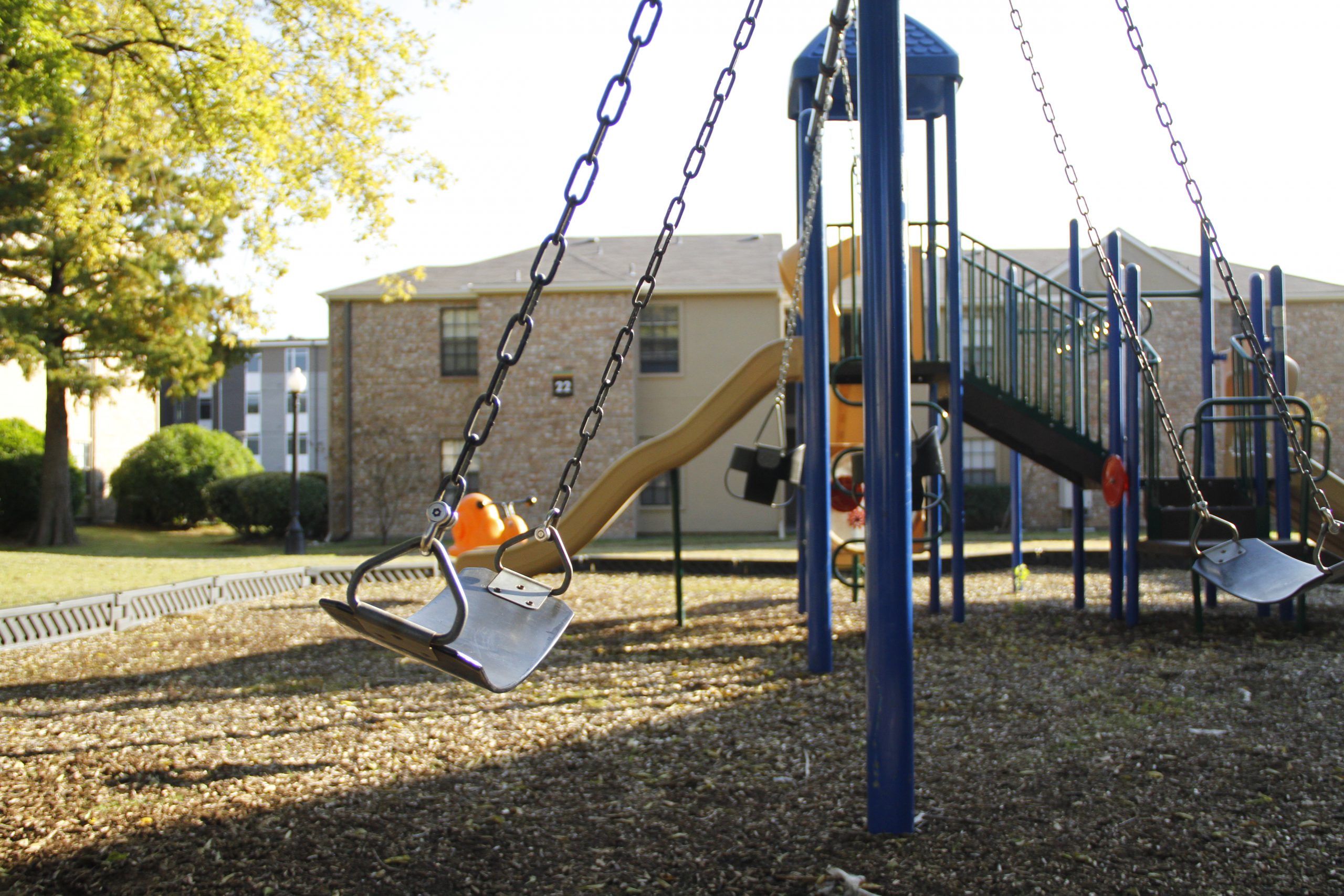 Online Student Petition for Campus Swings Receives over 600 signatures