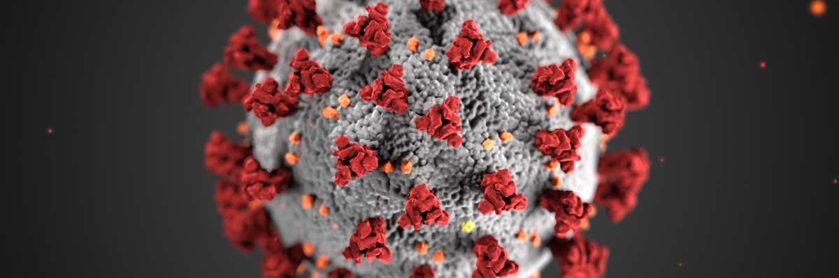 A model of the coronavirus. Image courtesy of the Centers for Disease Control and Prevention.