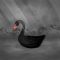 ‘Black Swan’? More like ugly duckling