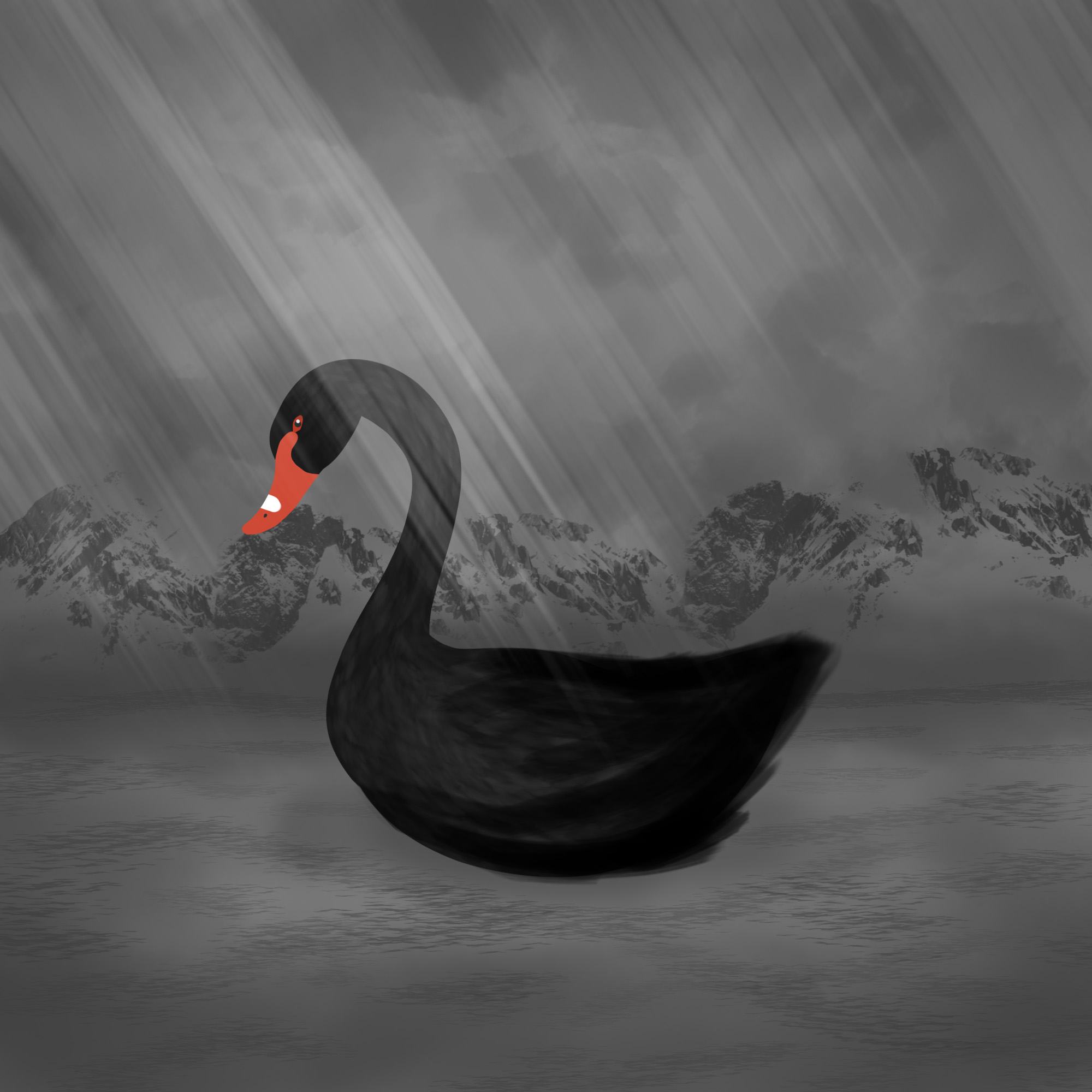 black swan critique