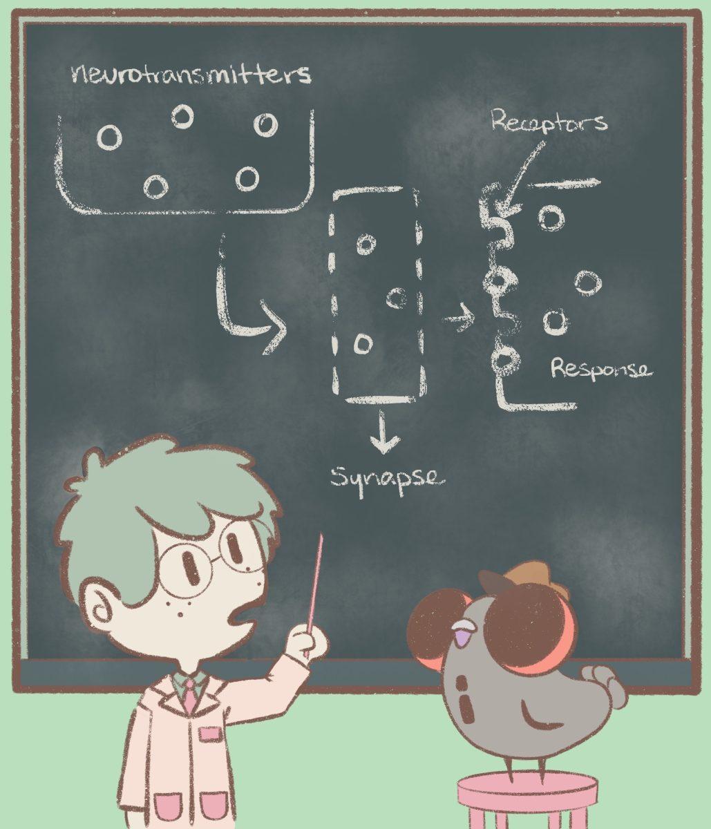 Graphic by Elizabeth Nguyen | Mercury Staff