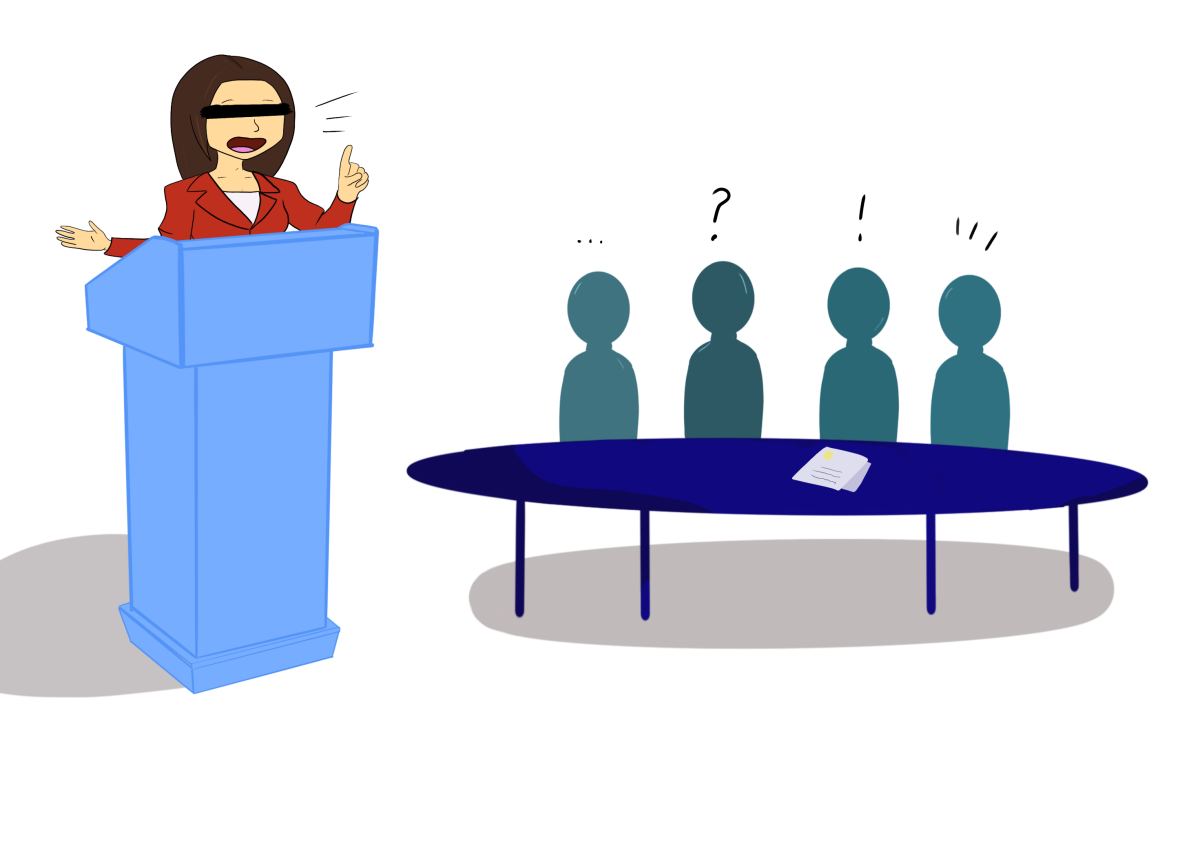 The election board convened Aug. 30 to discuss concerns regarding online solicitation. Graphic by Juhi Karnalkar | Mercury Staff