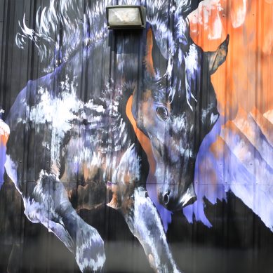 UTD alumnus honors Texas with “Wild West” mural