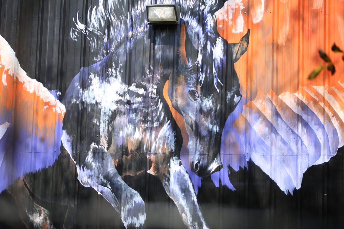 Psychology alumnus Elianna Paek’s colorful pegasus mural is located at 516 Fabrication Street in West Dallas. Photo by Roshan Khichi | Mercury Staff