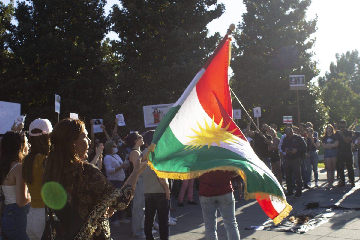 A woman holds a flag in front of a crowd of protesters holding up protest signs.