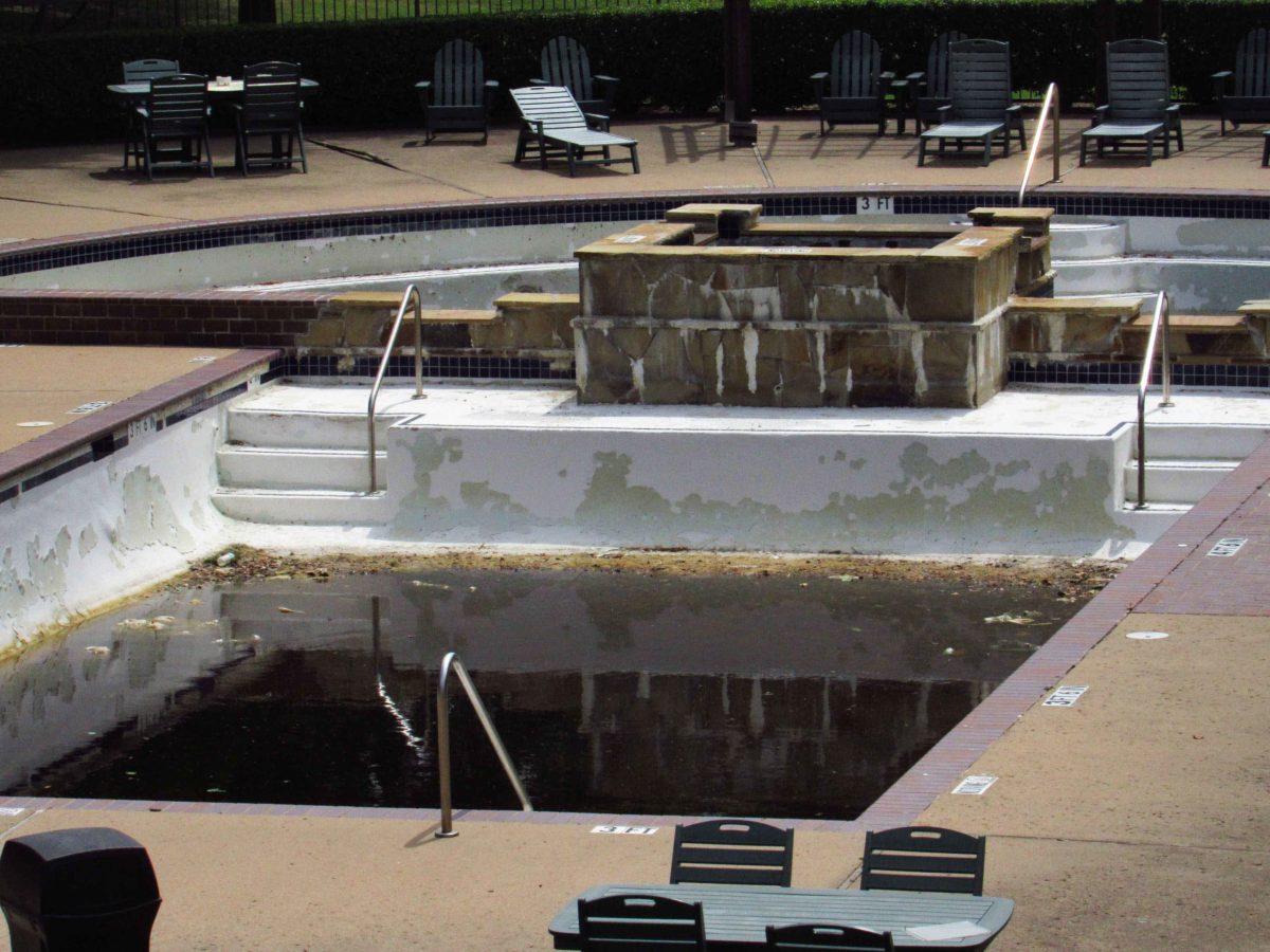 During the pandemic, the Phase 8 pool became a forgotten breeding ground for insects. Photo by Andre Averion | Distribution Editor