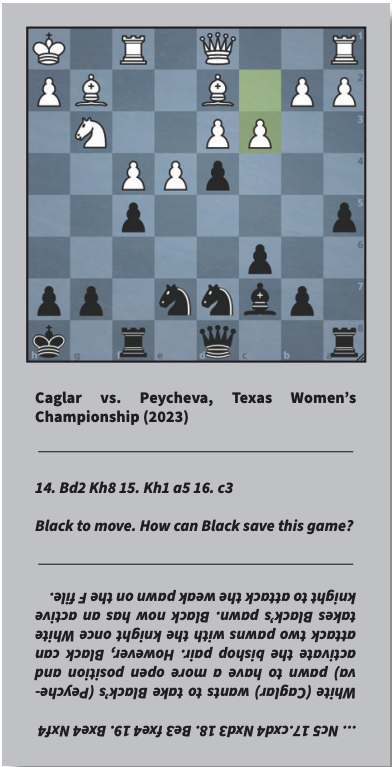 Chess PGN Master