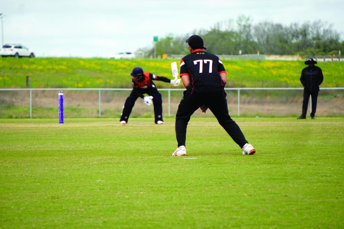 A UTD fielder watches as the batsman checks the wickets during the championship match against Northeastern. 