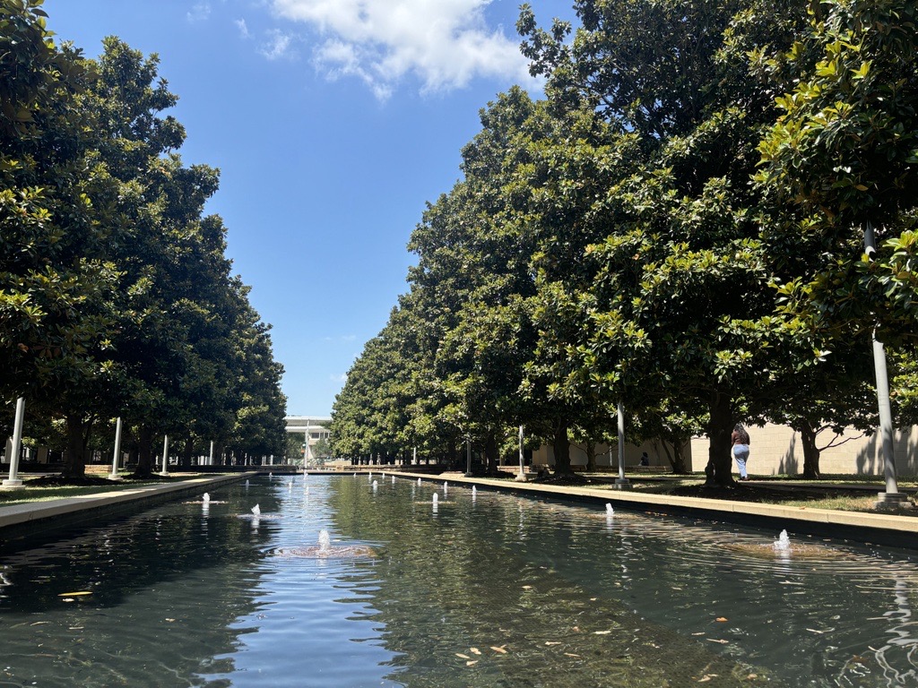 The Reflection Pool surrounded by magnolia trees is pictured.